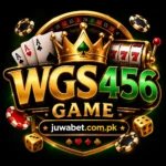WGS456 Game